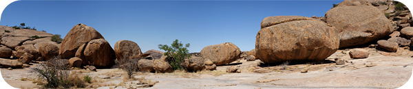 Bulls Party